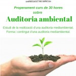 auditoria-ambiental