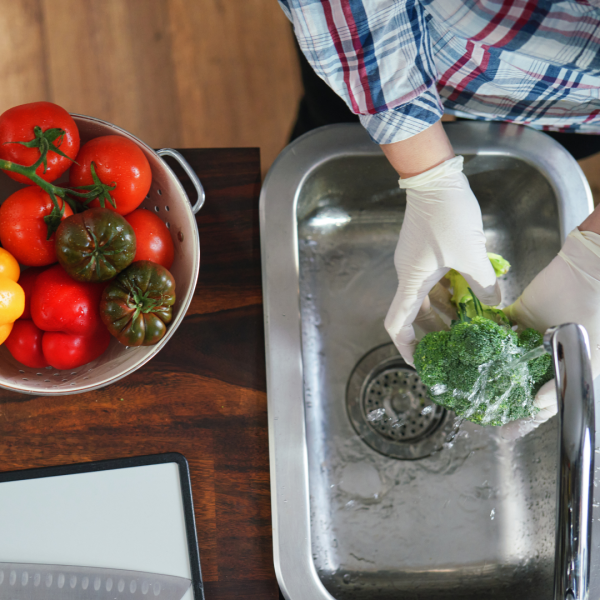 SEGURETAT ALIMENTÀRIA, MANIPULACIÓ I CONTROL D'ALIMENTS