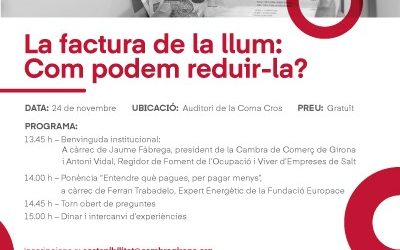 Com podem reduir la factura de la llum?