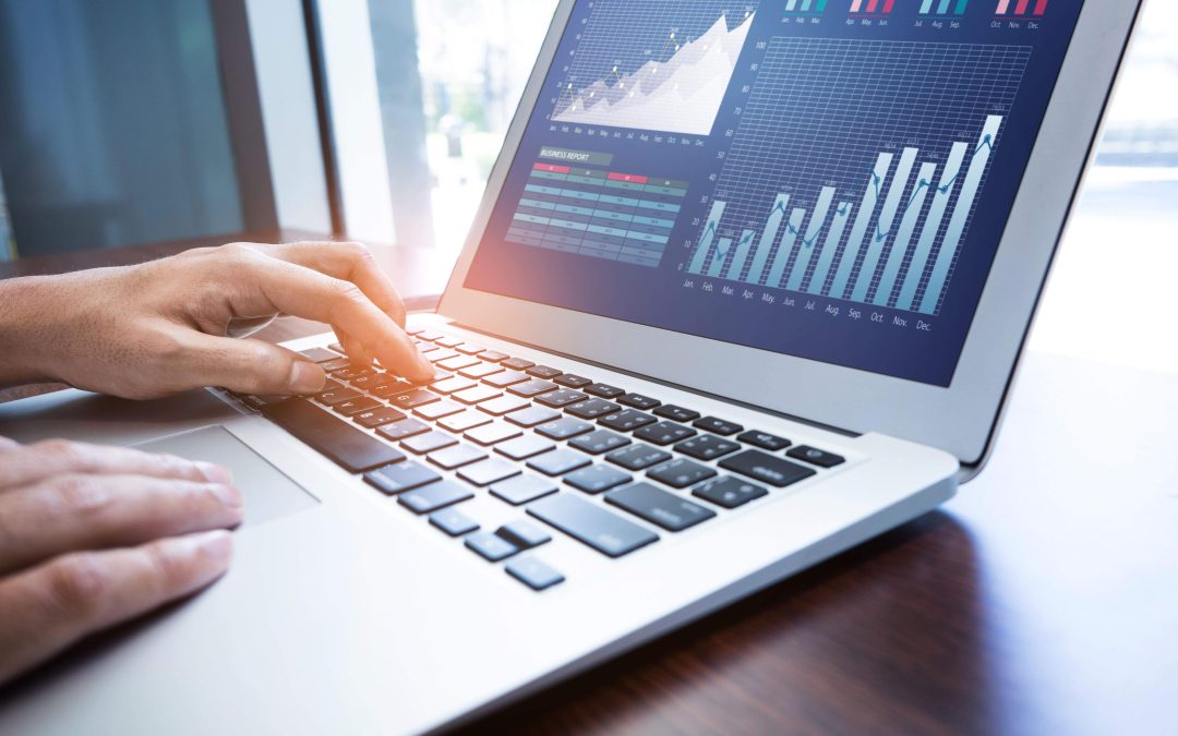 La transformació digital de les pimes: reptes i oportunitats al Ripollès